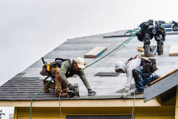 Professional Storm Damage Roof Repair technician working in Keystone, FL